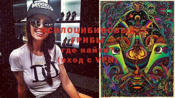 не бодяженный Дмитров