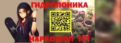 ALPHA PVP Кандалакша
