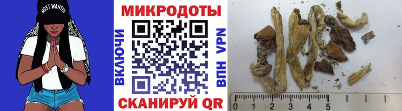 ОМГ ОМГ как зайти  Медногорск  Галлюциногенные грибы Psilocybine cubensis 
