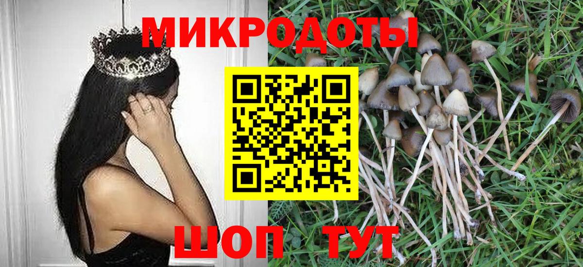 Псилоцибиновые грибы мухоморы Медногорск