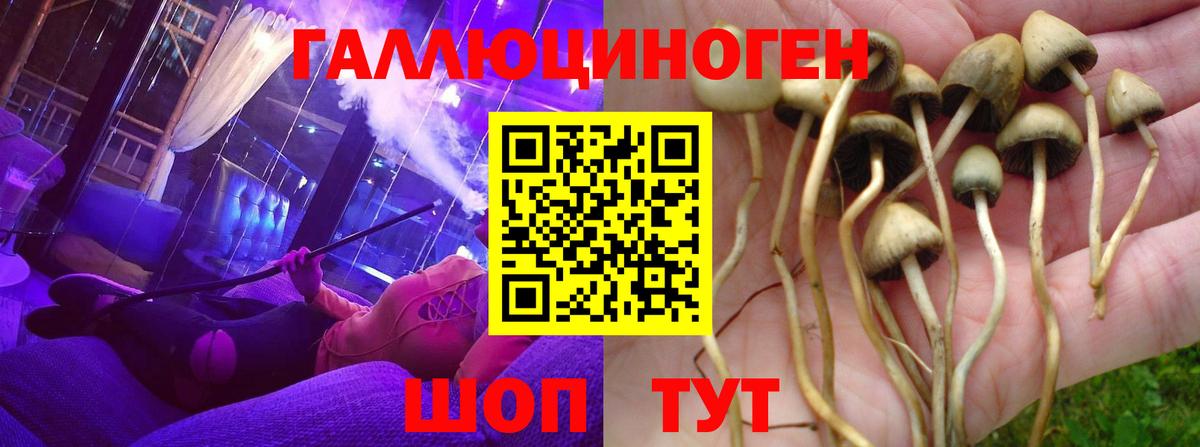 цены   Вход с VPN  Медногорск  Галлюциногенные грибы прущие грибы 